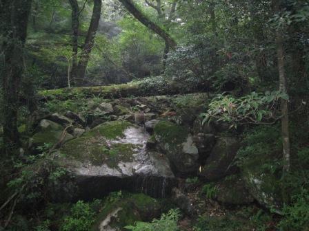 昭和の森から仏頂山_c0077338_21375510.jpg