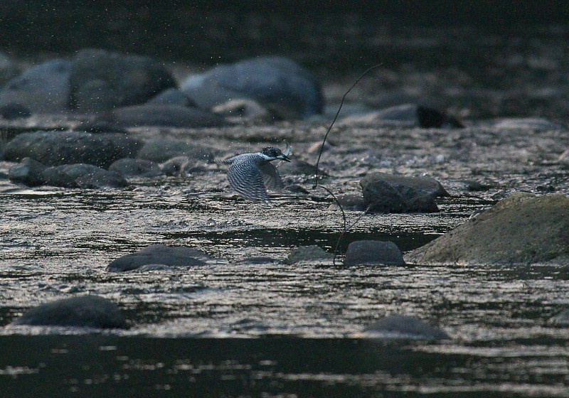 b0109942_6285764.jpg