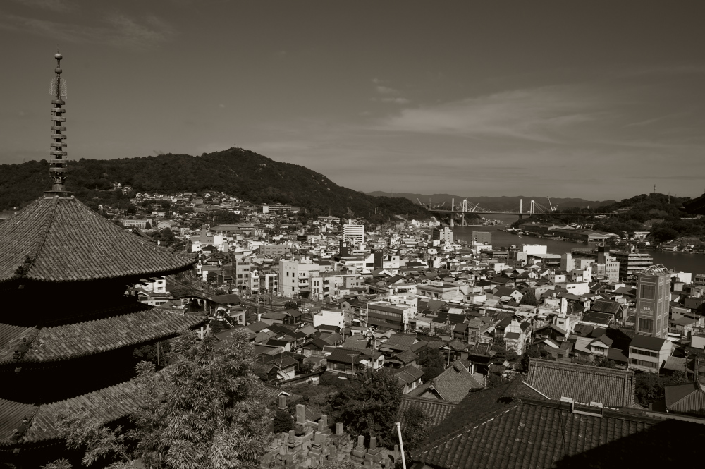 d0001745_436280.jpg