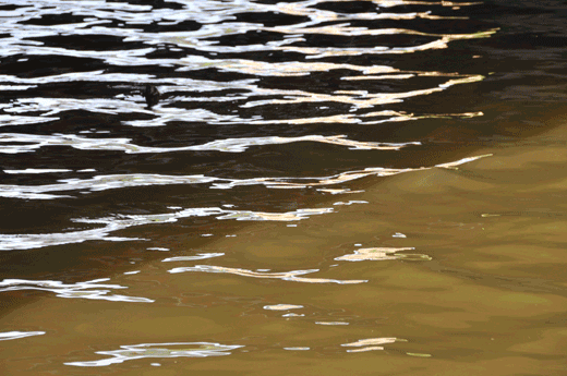 c0093046_7184578.gif