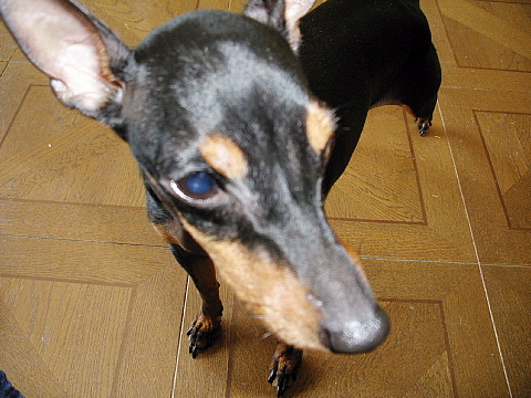 c0123149_1603928.jpg