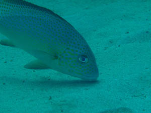 f0164662_19494526.jpg