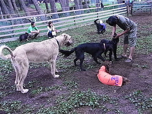 a0061977_22314213.jpg