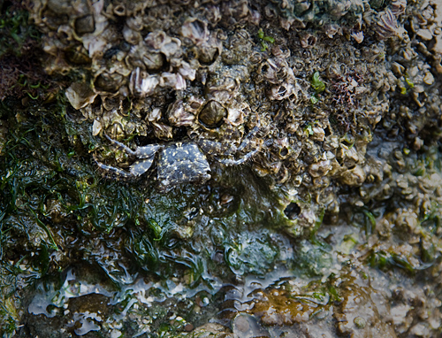 c0002682_14561388.jpg