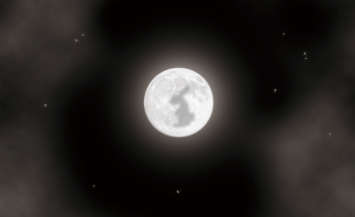 c0090084_2324856.gif