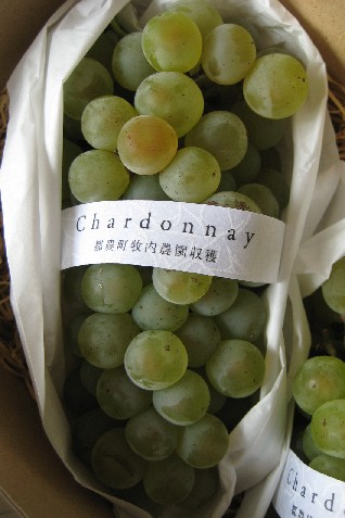 Chardonnayの生葡萄_c0013687_1537971.jpg