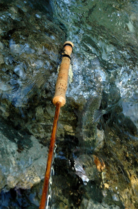 The Bamboo Rod / Paul H.Young The Perfectionist : Spey Bum The Bamboo Rod / Paul H.Young The Perfectionist : Spey Bum