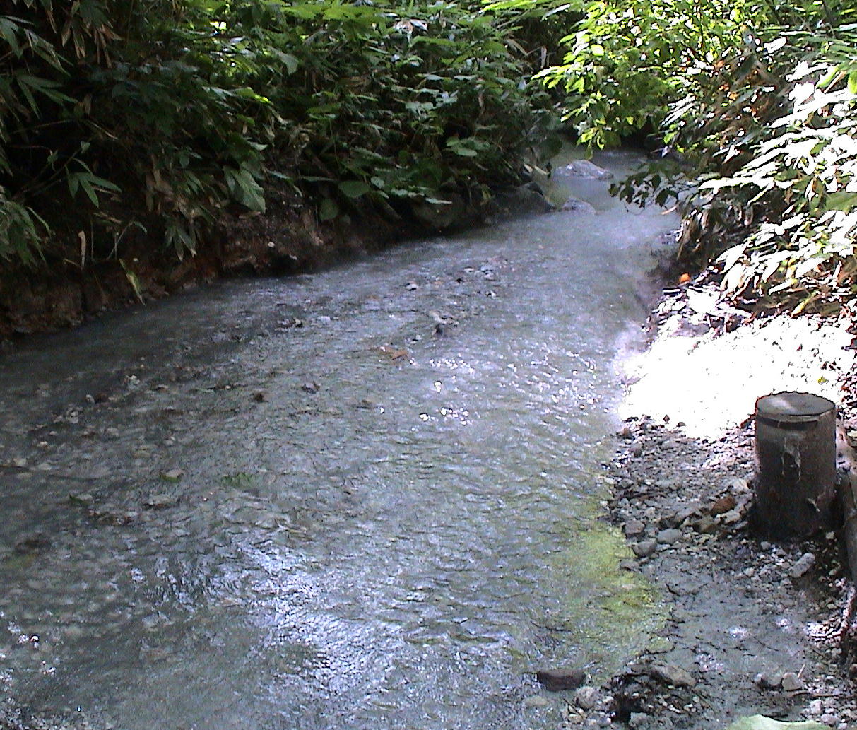 c0171889_19335232.jpg