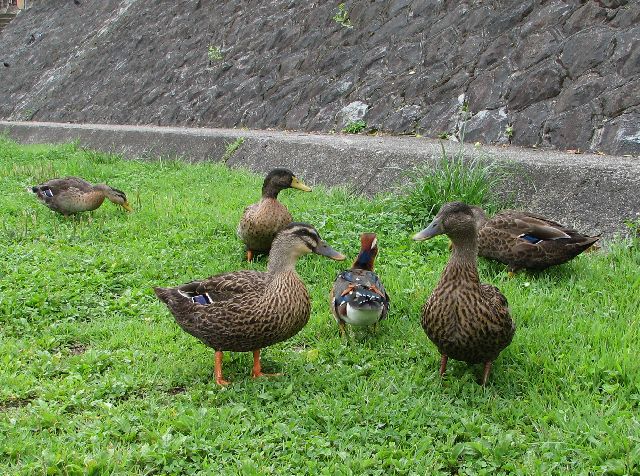 僕の居場所は_c0036792_2059251.jpg