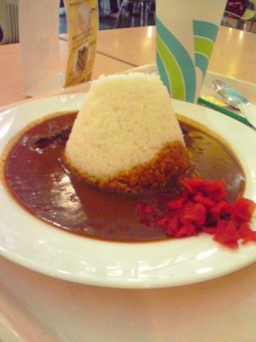 フジヤマカレー_e0083396_1441768.jpg