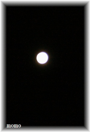 f0088197_2316450.jpg