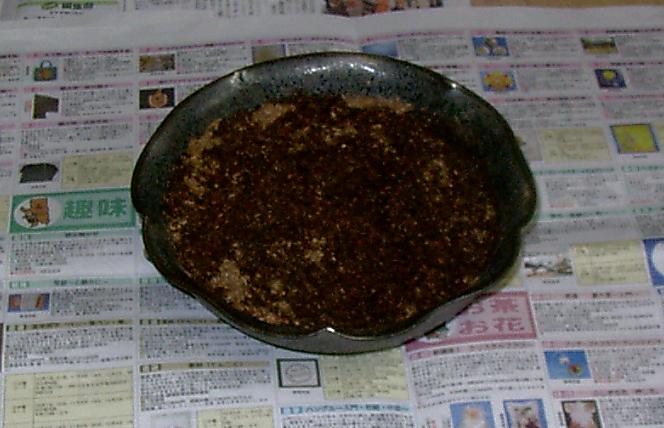 e0037600_1585241.jpg