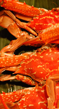 c0049902_16112155.jpg