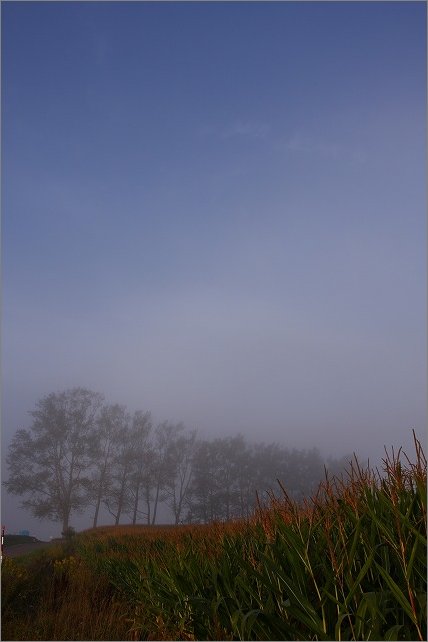 朝霧と朝陽のハザマで_f0139911_19305385.jpg