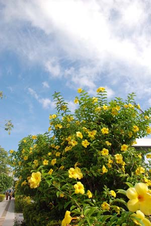 c0164514_23278.jpg