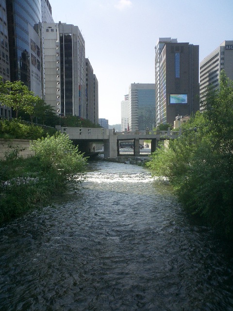 e0037019_23564843.jpg