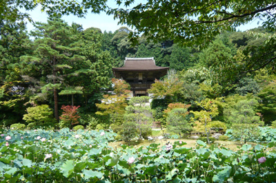 円成寺　～1_b0019820_23221624.jpg