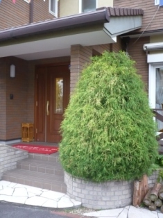 f0144724_1723879.jpg
