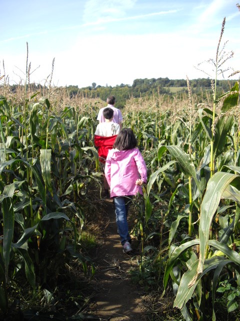 d0104926_654699.jpg