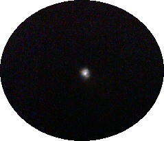 a0098027_178545.jpg