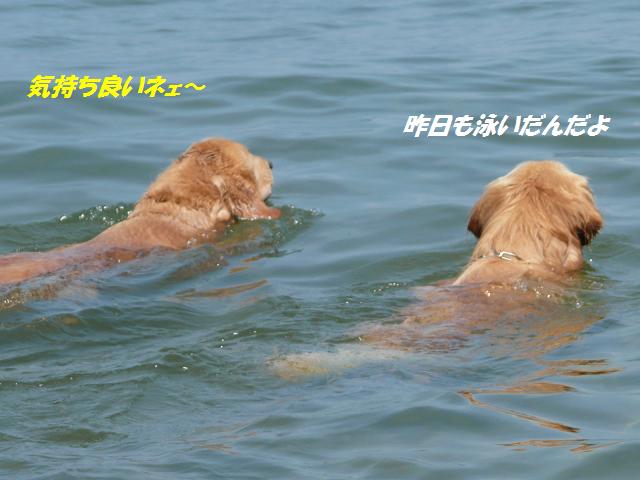f0114128_8544810.jpg