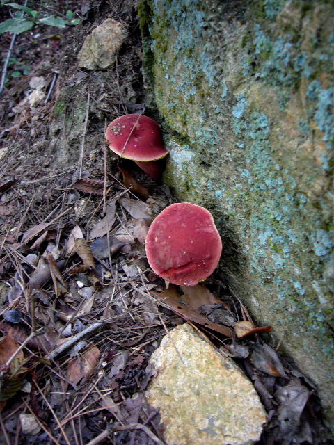 d0075131_02140.jpg