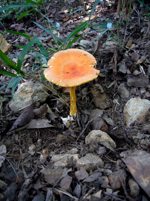 d0075131_03029.jpg