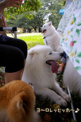 c0062832_15363885.jpg