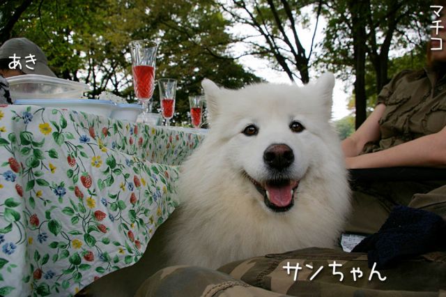 c0062832_15365851.jpg
