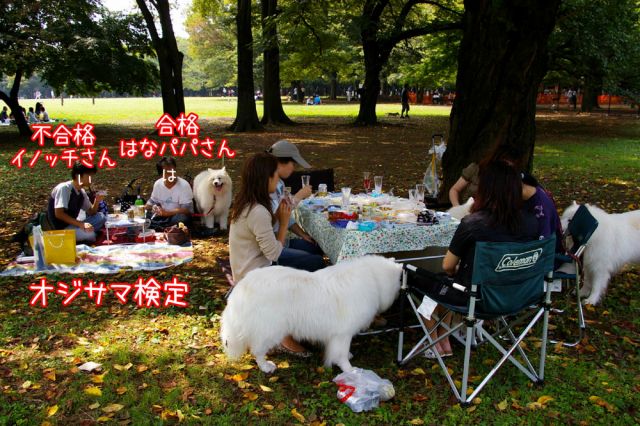 c0062832_15371781.jpg