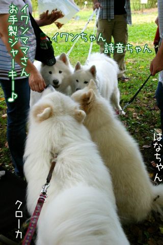 c0062832_15372589.jpg