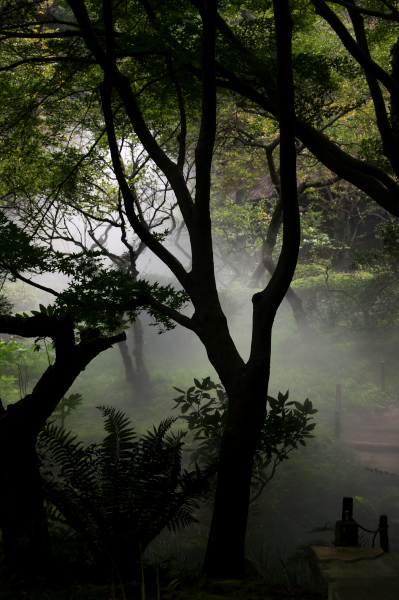 横浜トリエンナーレ2008　三渓園　　2008-9-15_c0153534_17494462.jpg