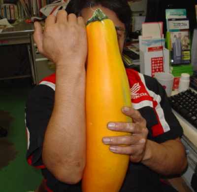 d0111435_18412324.jpg