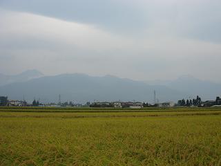 a0014840_23455548.jpg