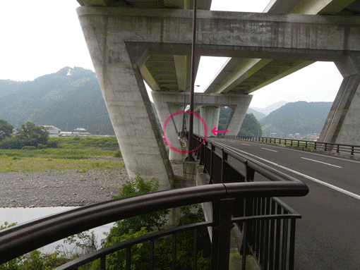 a0056140_23405053.gif