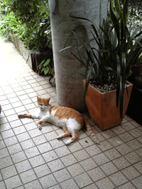 f0159844_14352055.gif