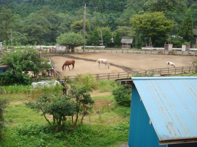 b0136045_93301.jpg