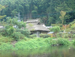 d0040546_17552347.jpg