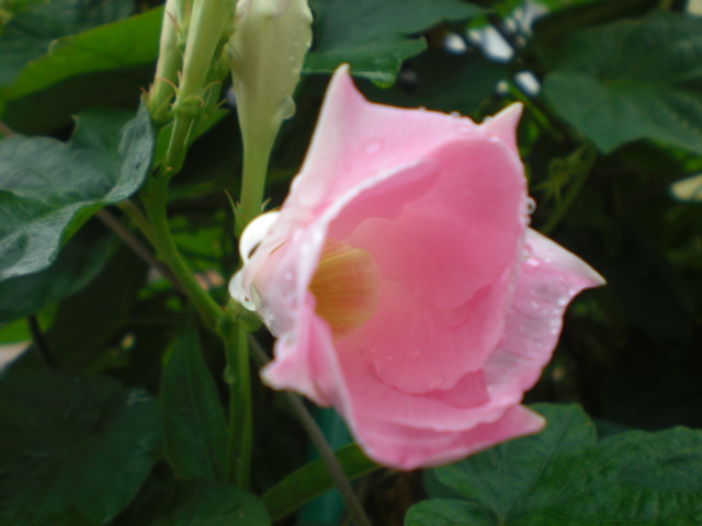 b0152548_14373558.jpg