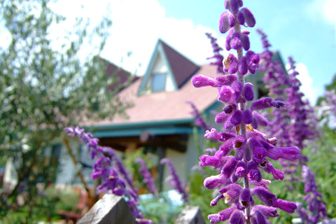 e0045768_2225026.jpg