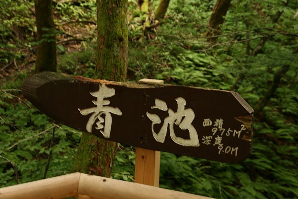 みちのくひとり旅「白神山地編」その６_d0030373_20274841.jpg