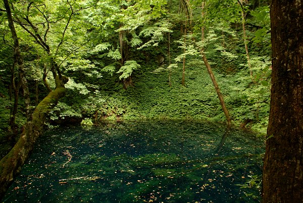 みちのくひとり旅「白神山地編」その６_d0030373_20283482.jpg