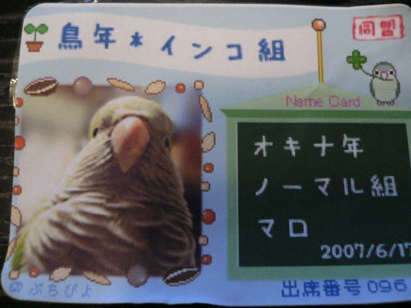 マロちゃんオカンの郷へ!_d0123492_15104040.jpg