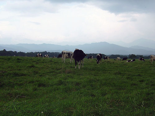 f0130693_945911.jpg