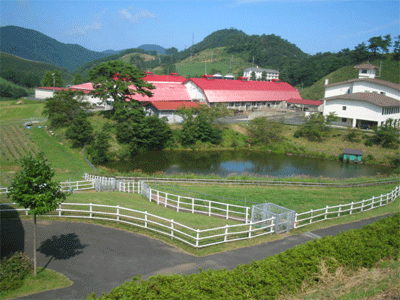 b0108100_575640.gif