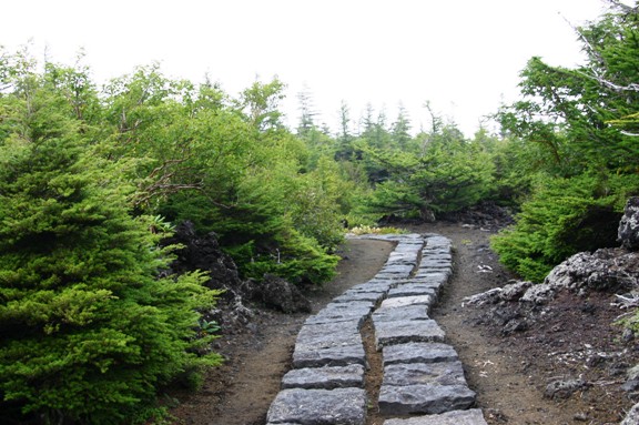 あても無く富士山・・_c0028804_1123971.jpg