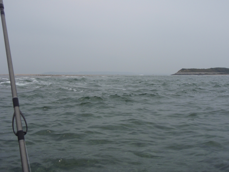 c0163207_13541569.jpg
