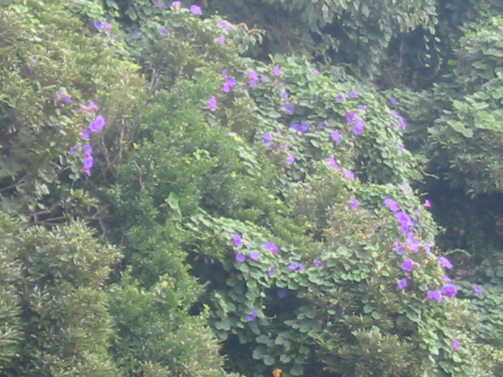 e0013207_23432192.jpg