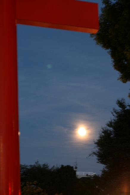 b0132924_11585065.jpg