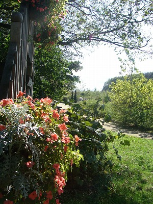 f0170524_1213849.jpg